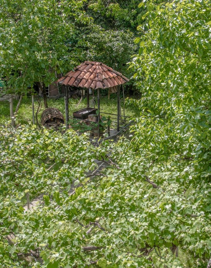 Qilimcha'S Guesthouse-Art Museum Telavi Bagian luar foto